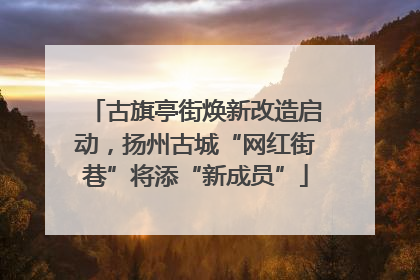 古旗亭街焕新改造启动，扬州古城“网红街巷”将添“新成员”