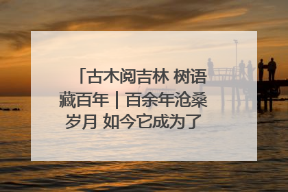 古木阅吉林 树语藏百年｜百余年沧桑岁月 如今它成为了“镇园之宝”