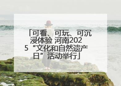 可看、可玩、可沉浸体验 河南2025“文化和自然遗产日”活动举行