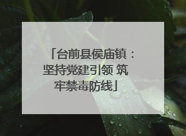台前县侯庙镇：坚持党建引领 筑牢禁毒防线