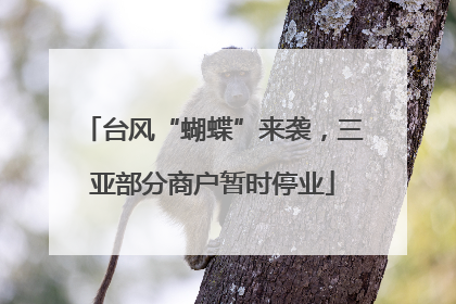 台风“蝴蝶”来袭，三亚部分商户暂时停业