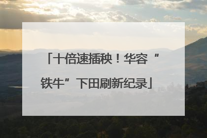 十倍速插秧！华容“铁牛”下田刷新纪录