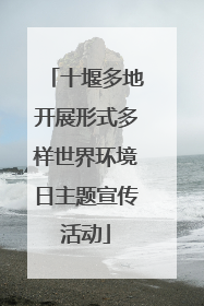 十堰多地开展形式多样世界环境日主题宣传活动