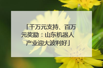 千万元支持、百万元奖励：山东机器人产业迎大波利好