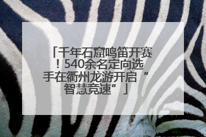 千年石窟鸣笛开赛！540余名定向选手在衢州龙游开启“智慧竞速”