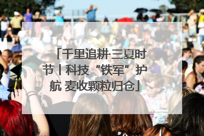 千里追耕·三夏时节丨科技“铁军”护航 麦收颗粒归仓