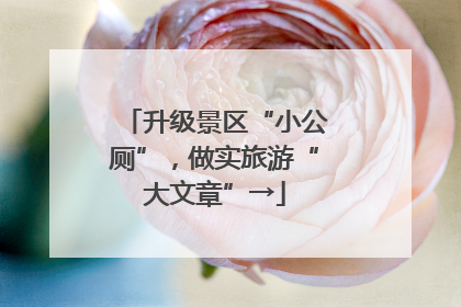 升级景区“小公厕”，做实旅游“大文章”→