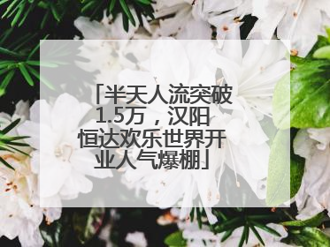 半天人流突破1.5万，汉阳恒达欢乐世界开业人气爆棚