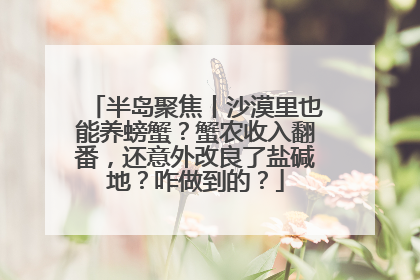 半岛聚焦丨沙漠里也能养螃蟹？蟹农收入翻番，还意外改良了盐碱地？咋做到的？