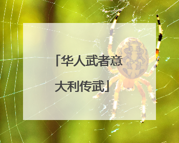 华人武者意大利传武