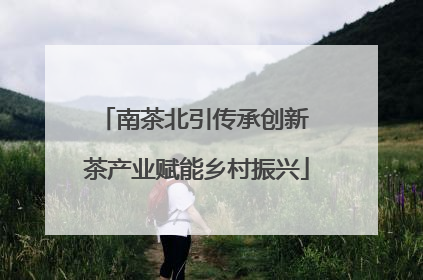 南茶北引传承创新 茶产业赋能乡村振兴