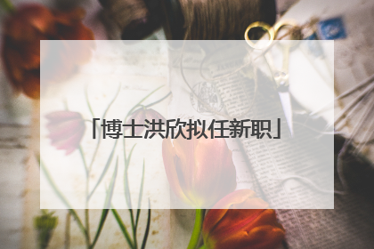博士洪欣拟任新职