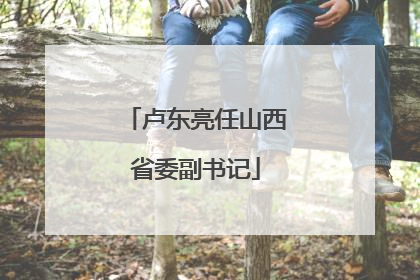 卢东亮任山西省委副书记