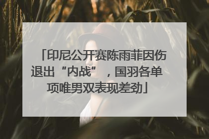 印尼公开赛陈雨菲因伤退出“内战”，国羽各单项唯男双表现差劲