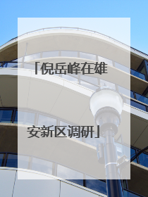 倪岳峰在雄安新区调研