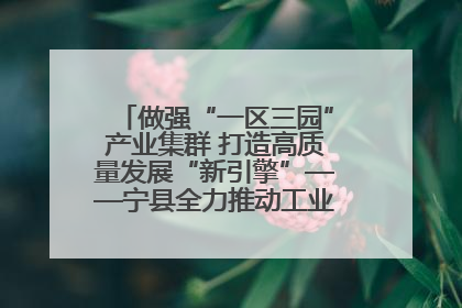 做强“一区三园”产业集群 打造高质量发展“新引擎”——宁县全力推动工业经济提质增效