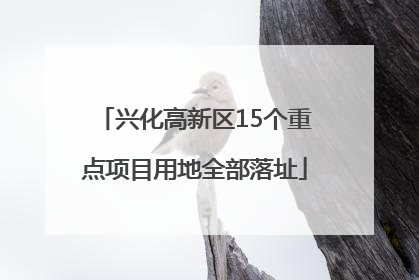 兴化高新区15个重点项目用地全部落址
