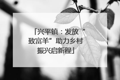 兴平镇：发放“致富羊”助力乡村振兴启新程