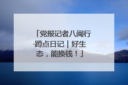 党报记者八闽行·蹲点日记｜好生态，能换钱！