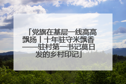 党旗在基层一线高高飘扬丨十年驻守米飘香——驻村第一书记莫日发的乡村印记