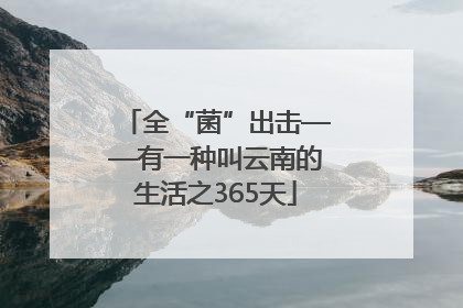 全“菌”出击——有一种叫云南的生活之365天