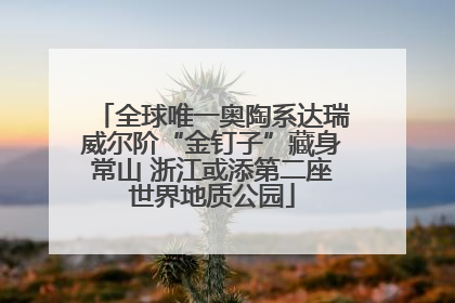 全球唯一奥陶系达瑞威尔阶“金钉子”藏身常山 浙江或添第二座世界地质公园