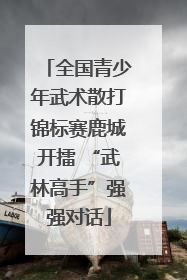 全国青少年武术散打锦标赛鹿城开擂 “武林高手”强强对话