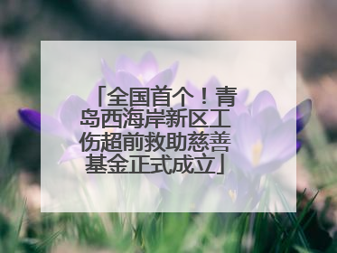 全国首个！青岛西海岸新区工伤超前救助慈善基金正式成立