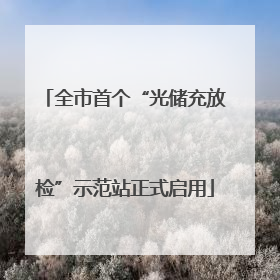全市首个“光储充放检”示范站正式启用