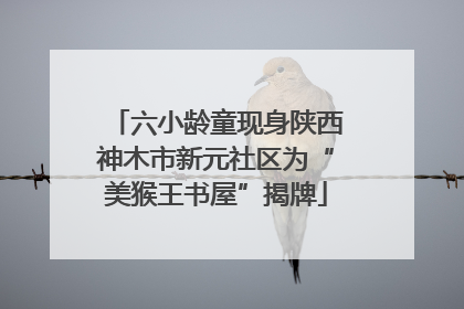 六小龄童现身陕西神木市新元社区为“美猴王书屋”揭牌