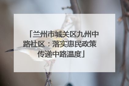 兰州市城关区九州中路社区：落实惠民政策 传递中路温度