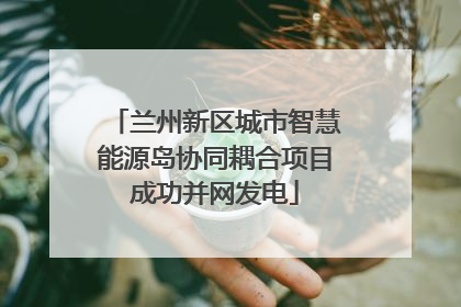 兰州新区城市智慧能源岛协同耦合项目成功并网发电