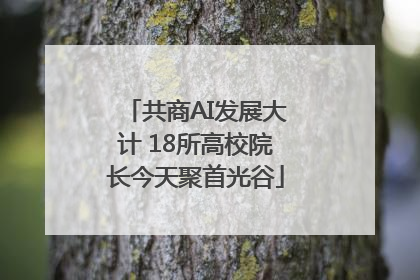 共商AI发展大计 18所高校院长今天聚首光谷