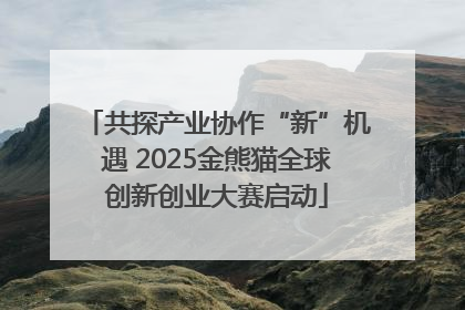 共探产业协作“新”机遇 2025金熊猫全球创新创业大赛启动