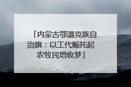 内蒙古鄂温克族自治旗：以工代赈托起农牧民增收梦