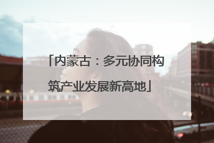 内蒙古：多元协同构筑产业发展新高地
