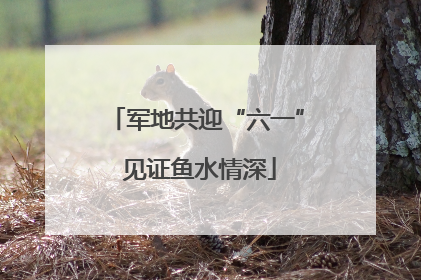 军地共迎“六一” 见证鱼水情深
