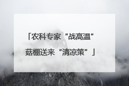 农科专家“战高温” 菇棚送来“清凉策”