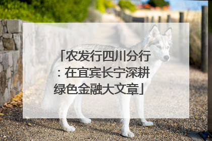 农发行四川分行：在宜宾长宁深耕绿色金融大文章