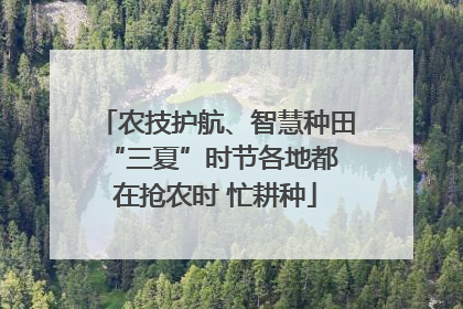 农技护航、智慧种田 “三夏”时节各地都在抢农时 忙耕种