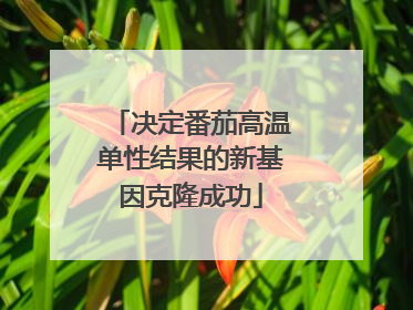 决定番茄高温单性结果的新基因克隆成功