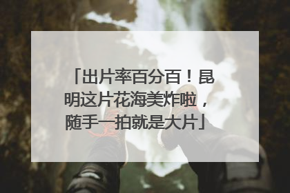 出片率百分百！昆明这片花海美炸啦，随手一拍就是大片