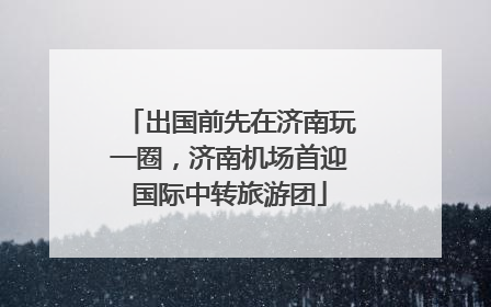 出国前先在济南玩一圈，济南机场首迎国际中转旅游团