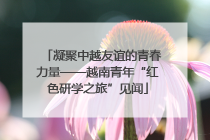 凝聚中越友谊的青春力量——越南青年“红色研学之旅”见闻