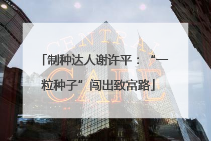 制种达人谢许平：“一粒种子”闯出致富路