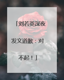 刘若英深夜发文道歉：对不起！