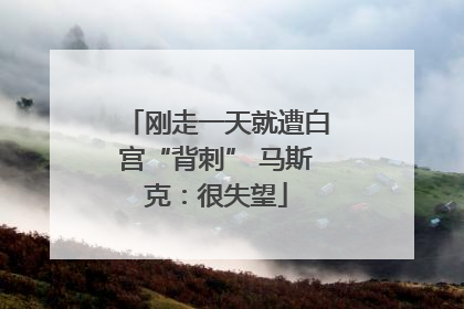 刚走一天就遭白宫“背刺” 马斯克：很失望