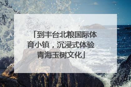 到丰台北粮国际体育小镇，沉浸式体验青海玉树文化