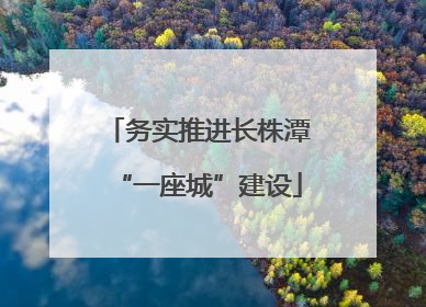务实推进长株潭“一座城”建设