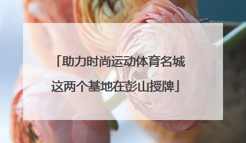 助力时尚运动体育名城 这两个基地在彭山授牌